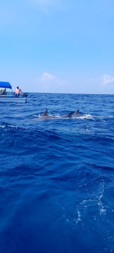 Zanzibar: Mnemba Island Snorkeling, Mnarani Turtles and Kendwa Beach Boat Trip