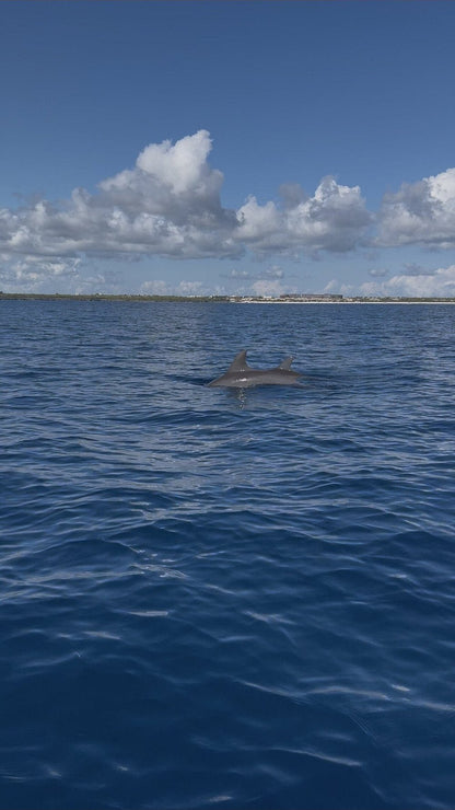 Zanzibar: Mnemba Island Snorkeling, Mnarani Turtles and Kendwa Beach Boat Trip