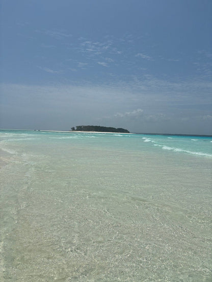 Zanzibar: Mnemba Island Snorkeling, Sea Turtles and Kendwa Beach Full - Day Tour