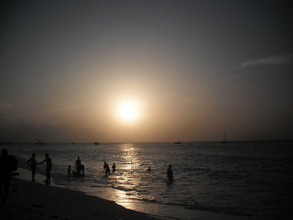 Zanzibar: Mnemba Island Snorkeling, Sea Turtles and Kendwa Beach Full - Day Tour