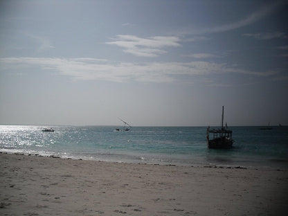 Zanzibar: Mnemba Island Snorkeling, Sea Turtles and Kendwa Beach Full - Day Tour
