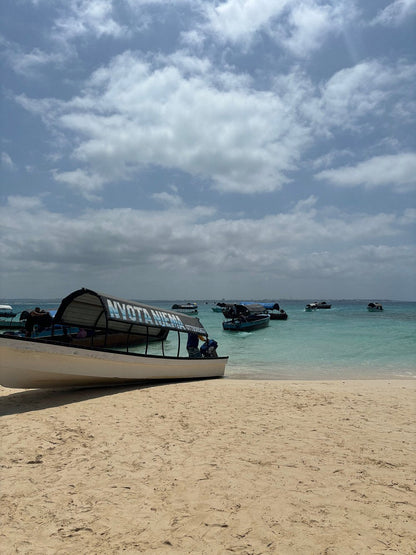 Zanzibar: Mnemba Island Snorkeling, Sea Turtles and Kendwa Beach Full - Day Tour