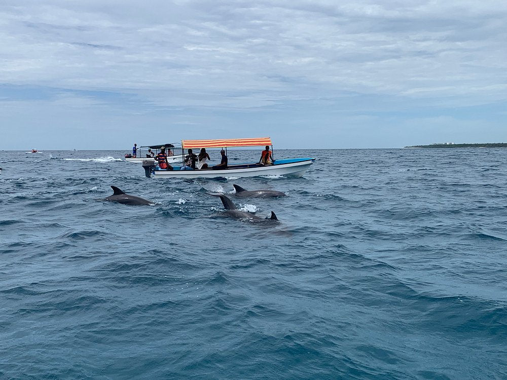 Zanzibar: Mnemba Island Snorkeling, Sea Turtles and Kendwa Beach Full - Day Tour