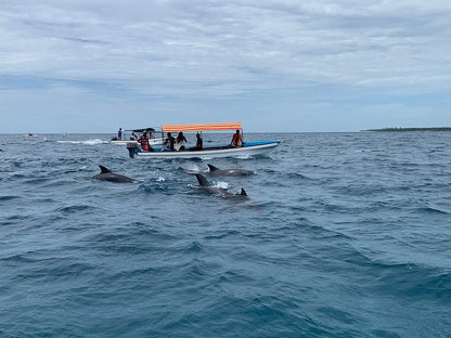 Zanzibar: Mnemba Island Snorkeling, Sea Turtles and Kendwa Beach Full - Day Tour