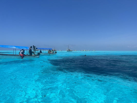 Zanzibar: Mnemba Island Snorkeling, Sea Turtles and Kendwa Beach Full - Day Tour