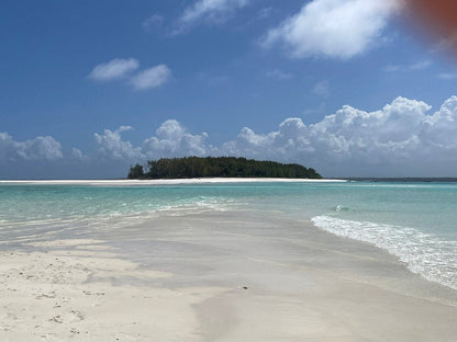 Zanzibar: Mnemba Island Snorkeling Trip and Seafood Lunch