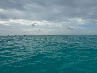 Zanzibar: Mnemba Island Snorkeling Trip and Seafood Lunch