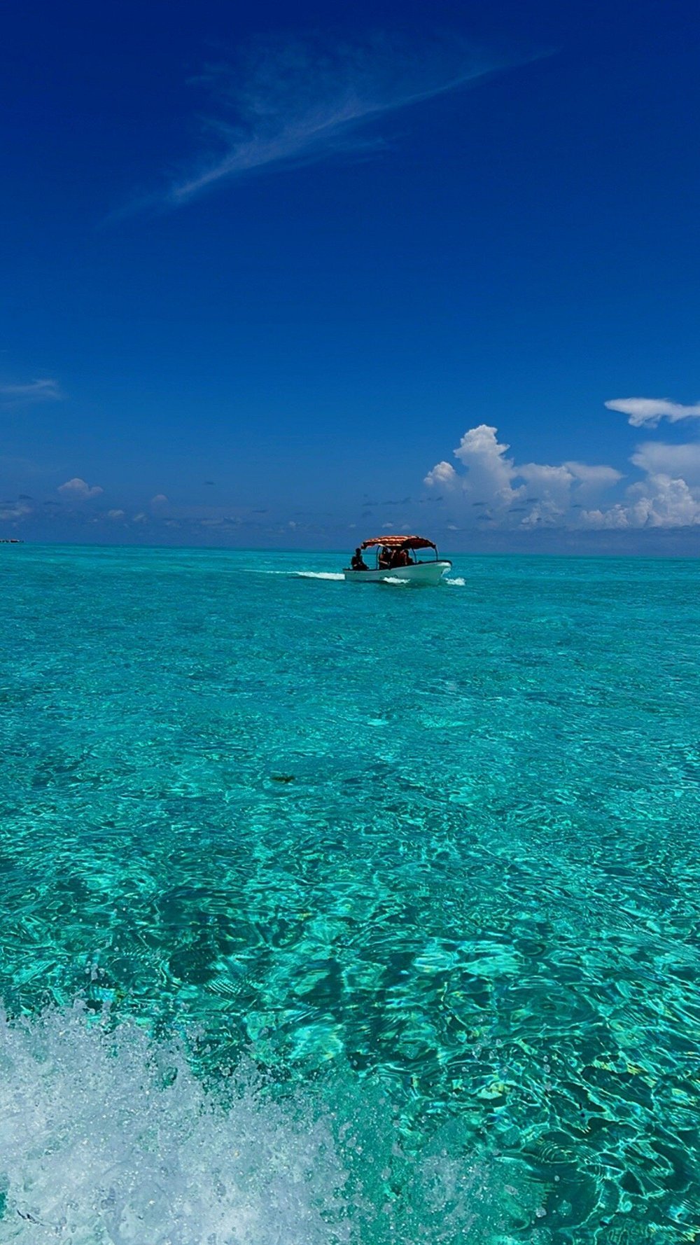 Zanzibar: Mnemba Island Tour with Dolphin Watching, Snorkeling and Turtle Lagoon