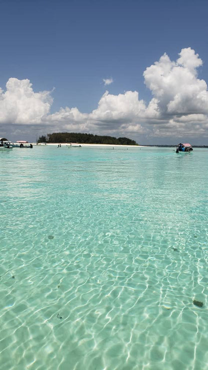 Zanzibar: Mnemba Reef Snorkeling and Dolphin Tour with Lunch on the Island