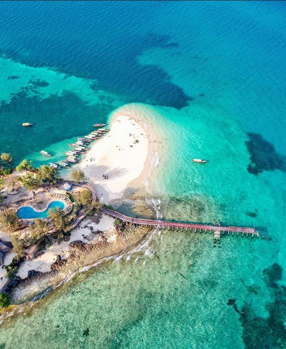 Zanzibar: Nakupenda Beach and Prison Island Day Trip with Seafood Lunch