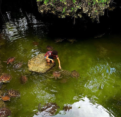 Zanzibar: Nungwi Kilosa Zoo and Baraka Aquarium Private Tour