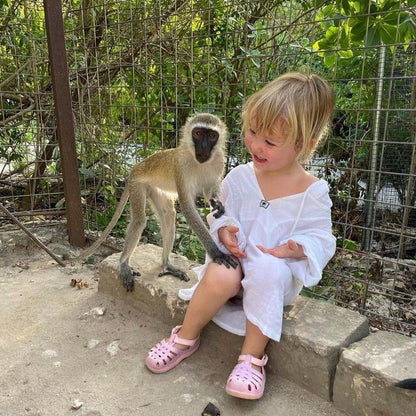 Zanzibar: Nungwi Kilosa Zoo and Baraka Aquarium Private Tour