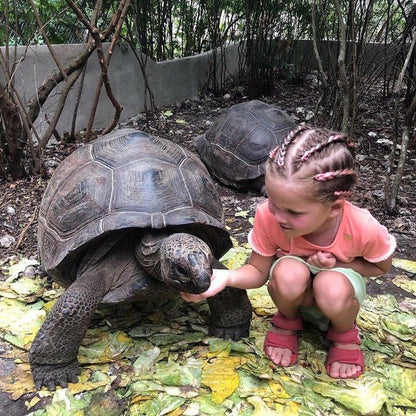 Zanzibar: Nungwi Kilosa Zoo and Baraka Aquarium Private Tour