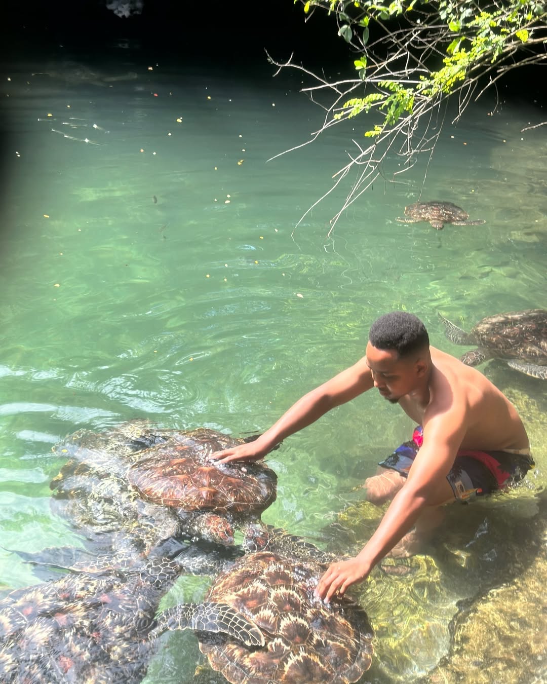Zanzibar: Nungwi Turtle Sanctuary Experience at Baraka Natural Aquarium