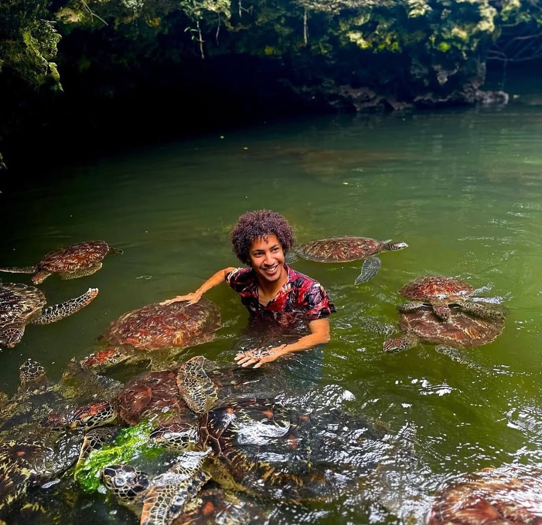 Zanzibar: Nungwi Turtle Sanctuary Experience at Baraka Natural Aquarium