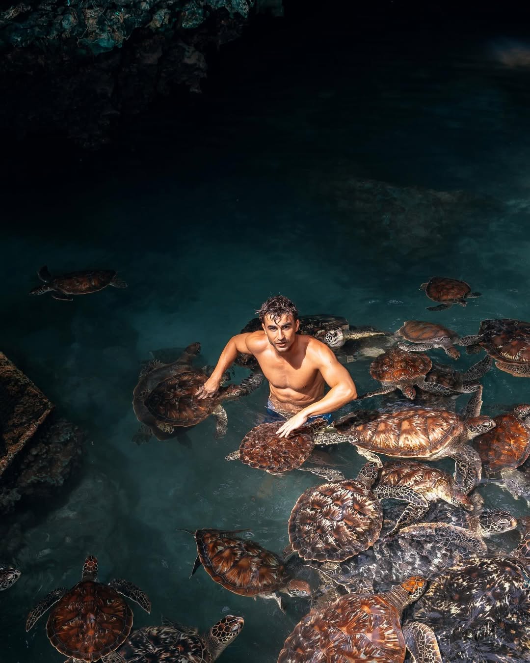 Zanzibar: Nungwi Turtle Sanctuary Experience at Baraka Natural Aquarium