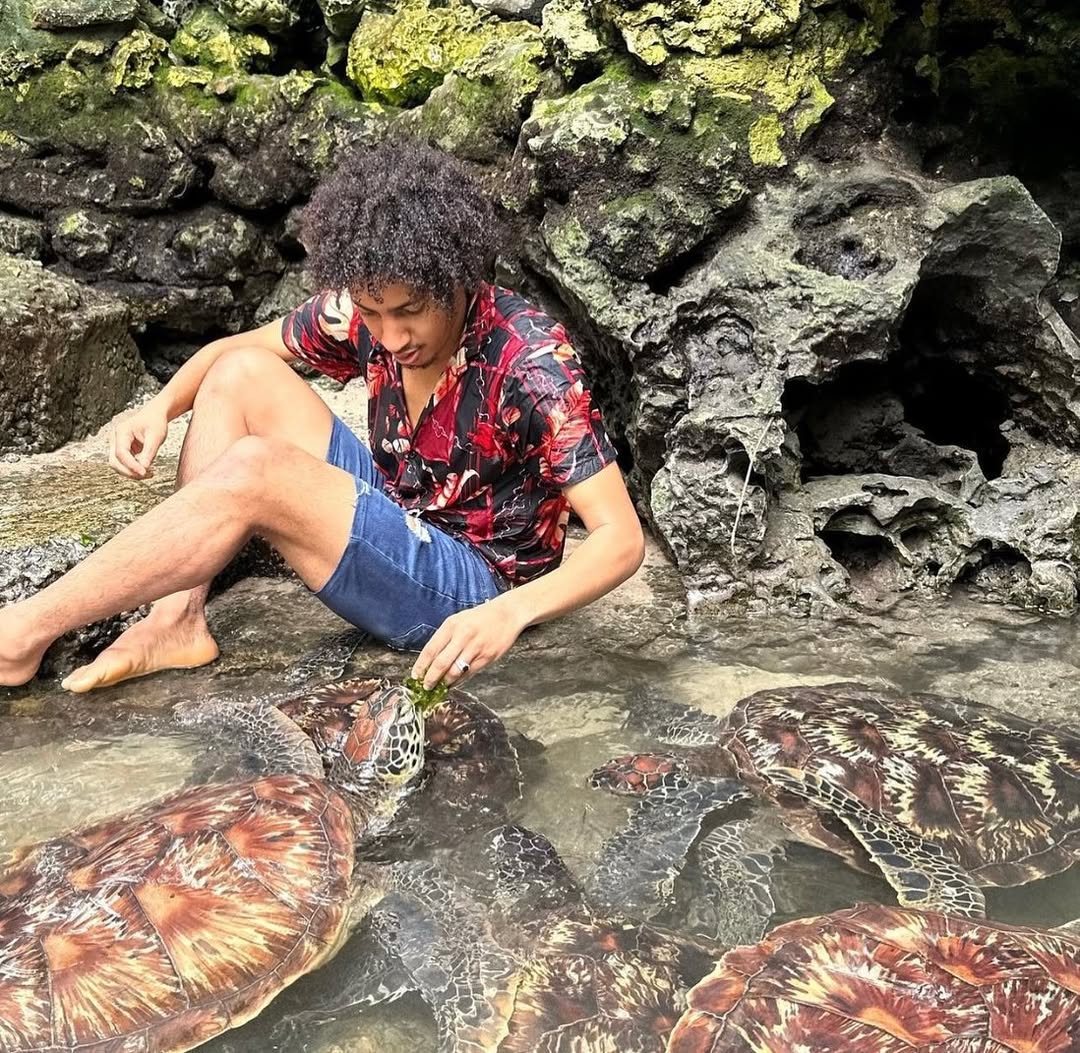 Zanzibar: Nungwi Turtle Sanctuary Experience at Baraka Natural Aquarium