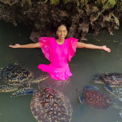 Zanzibar: Nungwi Turtle Sanctuary Experience at Baraka Natural Aquarium