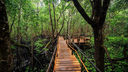 Zanzibar: Prison Island and Jozani Forest Guided Tour with Boat Ride