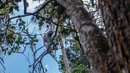 Zanzibar: Prison Island and Jozani Forest Guided Tour with Boat Ride