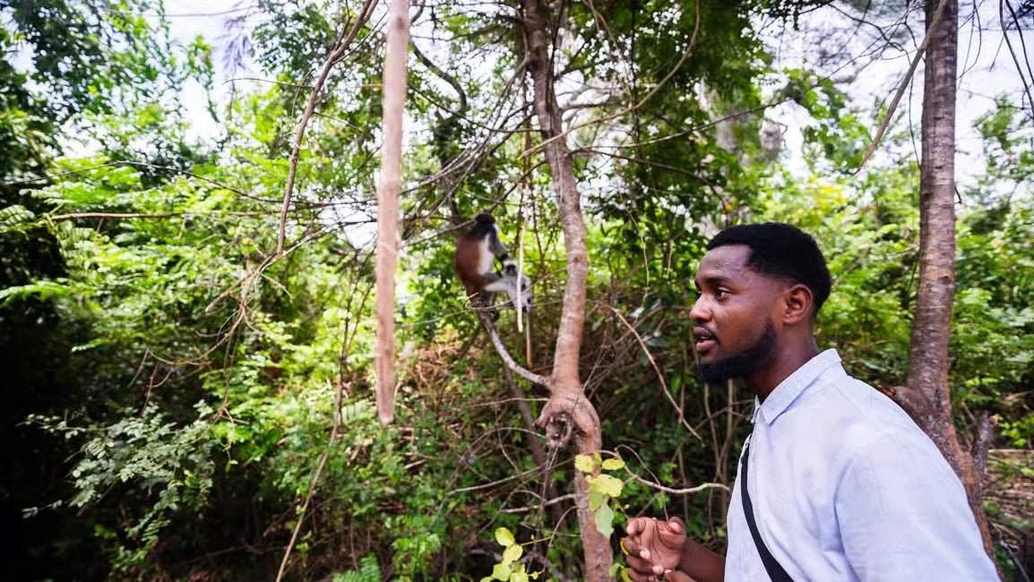 Zanzibar: Prison Island and Jozani Forest Guided Tour with Boat Ride