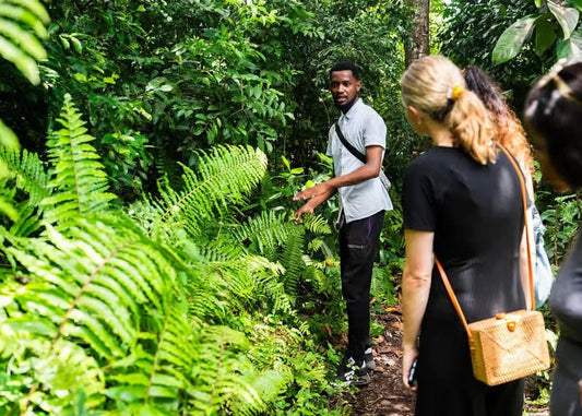 Zanzibar: Prison Island and Jozani Forest Guided Tour with Boat Ride