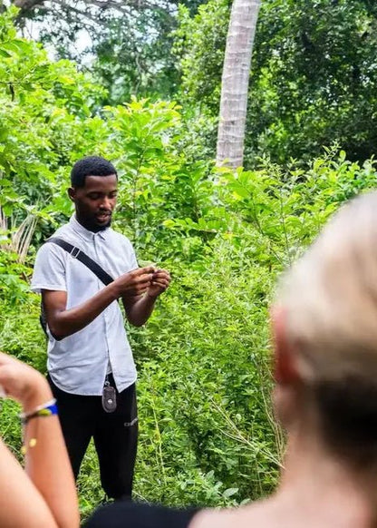 Zanzibar: Prison Island and Jozani Forest Guided Tour with Boat Ride