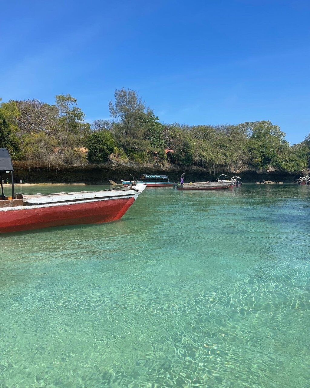 Zanzibar: Prison Island and Nakupenda Beach Snorkeling Trip with Lunch