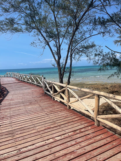 Zanzibar: Prison Island and Nakupenda Beach Snorkeling Trip with Lunch