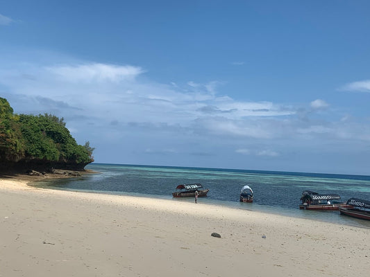 Zanzibar: Prison Island and Nakupenda Beach Snorkeling Trip with Lunch