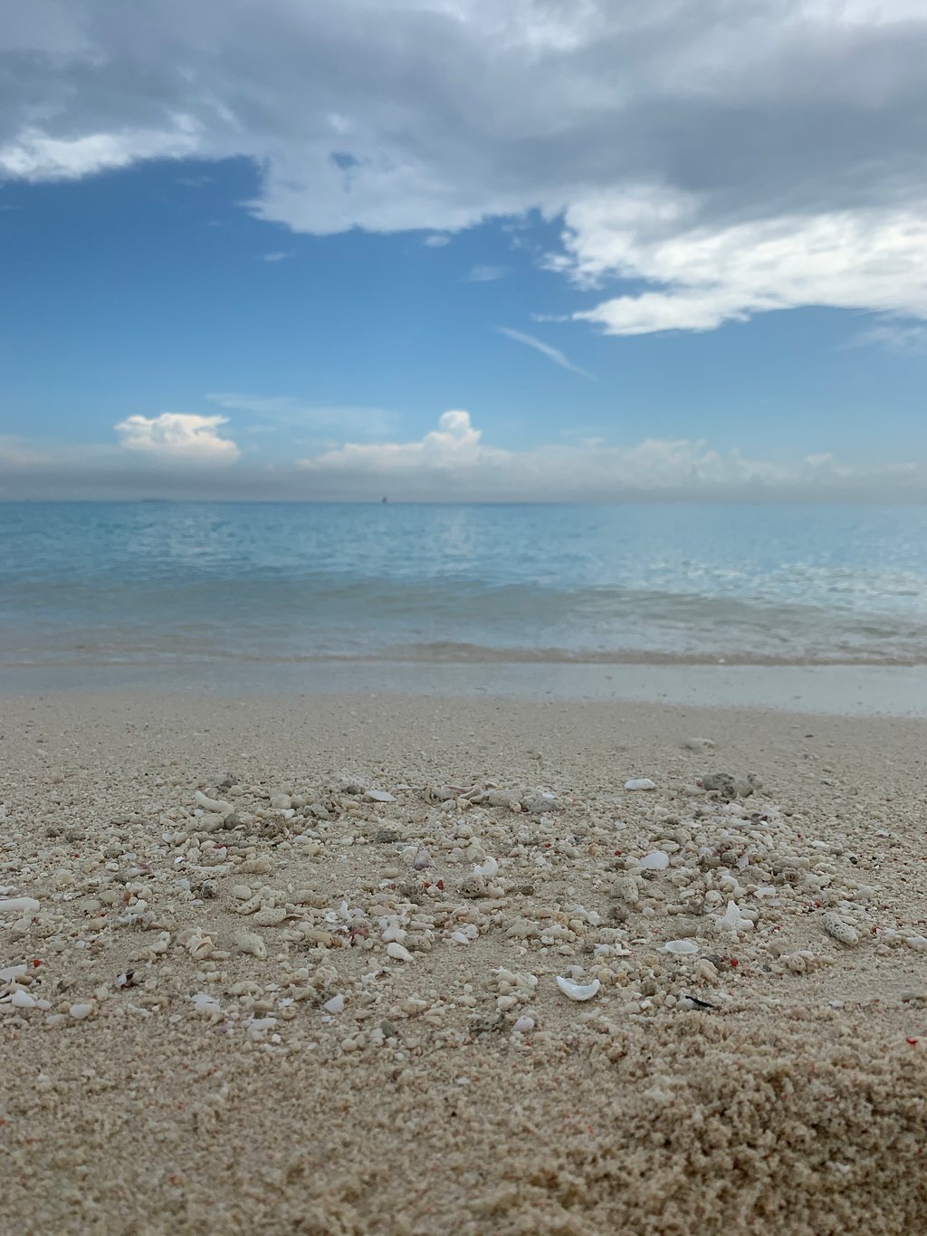 Zanzibar: Prison Island and Nakupenda Beach Snorkeling Trip with Lunch