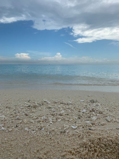 Zanzibar: Prison Island and Nakupenda Beach Snorkeling Trip with Lunch