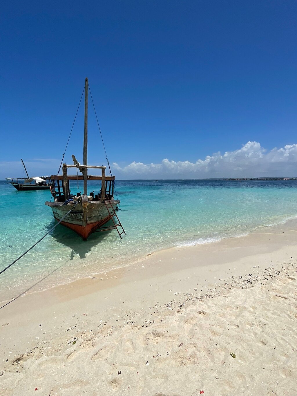 Zanzibar: Prison Island and Nakupenda Beach Snorkeling Trip with Lunch