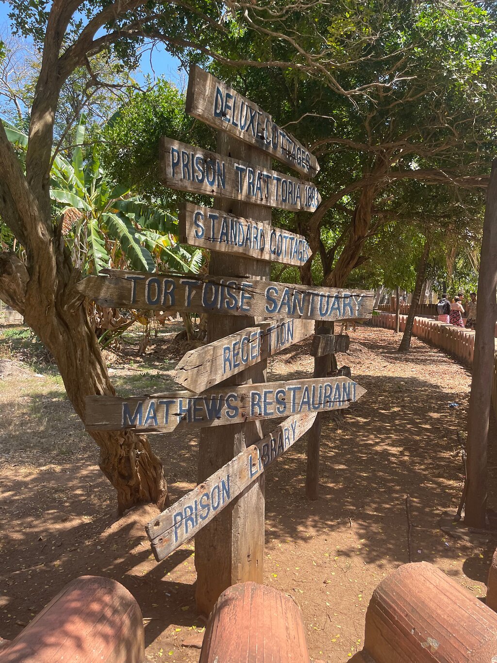 Zanzibar: Prison Island and Nakupenda Beach Snorkeling Trip with Lunch