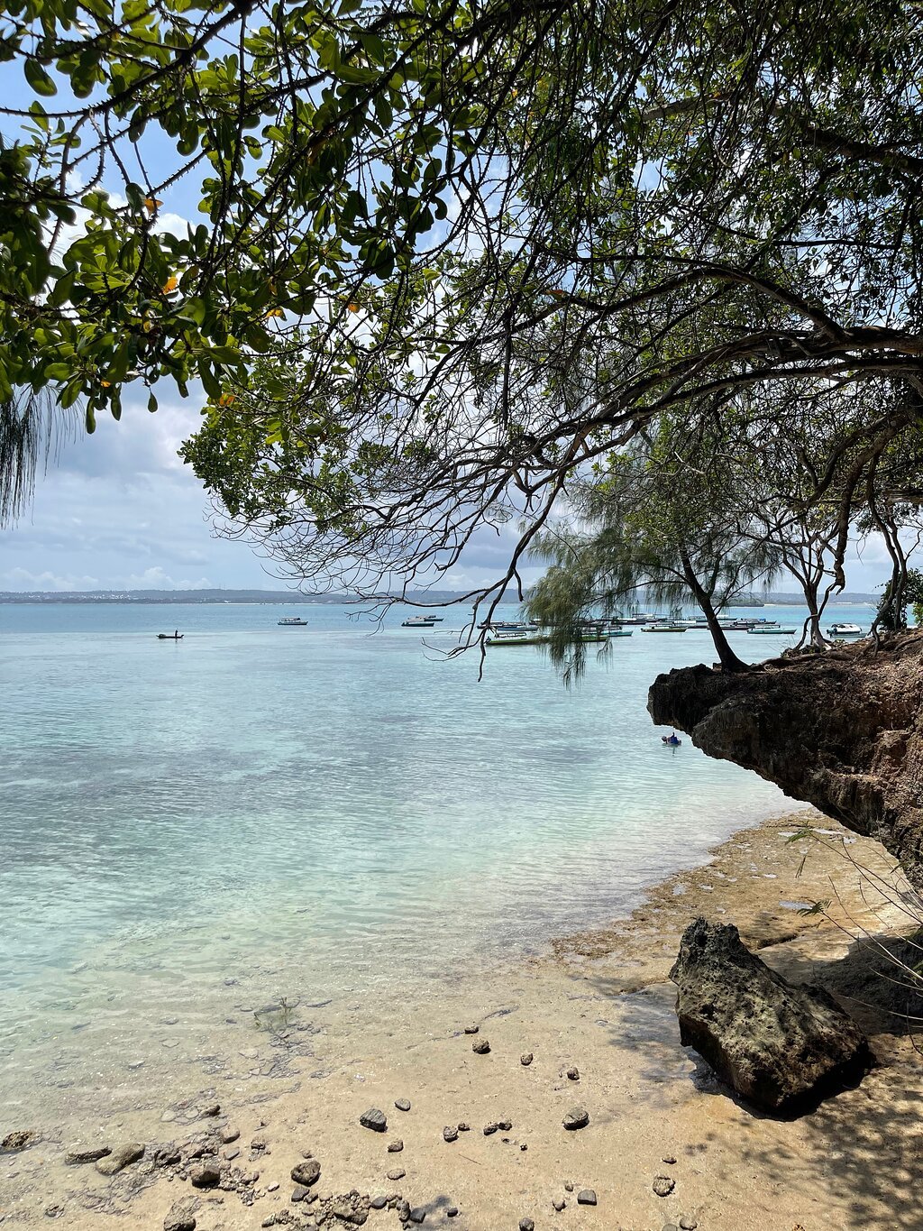 Zanzibar: Prison Island and Nakupenda Beach Snorkeling Trip with Lunch