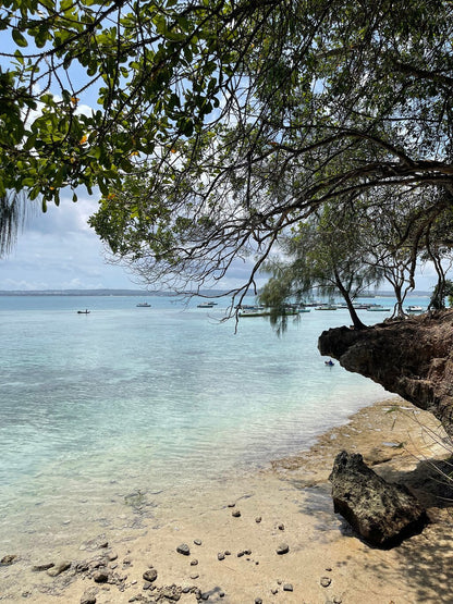 Zanzibar: Prison Island and Nakupenda Beach Snorkeling Trip with Lunch