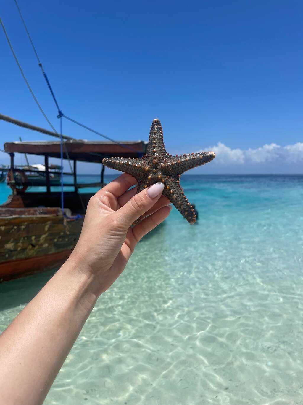 Zanzibar: Prison Island and Nakupenda Beach Snorkeling Trip with Lunch