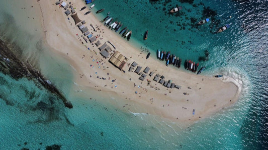 Zanzibar: Prison Island and Nakupenda Sandbank Boat Trip with Lunch