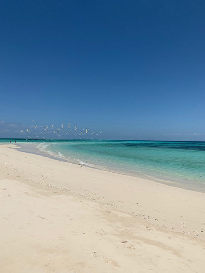 Zanzibar: Prison Island and Nakupenda Sandbank Day Trip from Nungwi or Kendwa