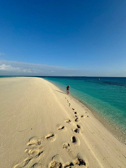 Zanzibar: Prison Island and Nakupenda Sandbank Day Trip from Nungwi or Kendwa