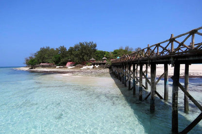 Zanzibar: Prison Island and Nakupenda Sandbank Day Trip from Nungwi or Kendwa