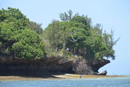 Zanzibar: Prison Island and Nakupenda Sandbank Full - Day Tour with Snorkeling and Seafood Lunch