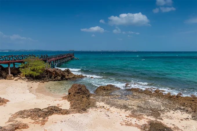 Zanzibar: Prison Island and Nakupenda Sandbank Tour with Seafood BBQ