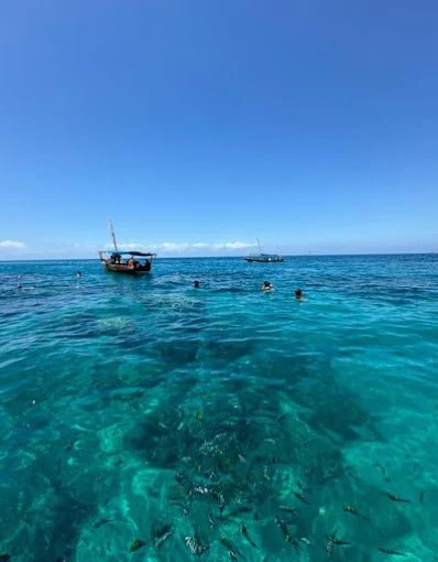 Zanzibar: Prison Island and Nakupenda Sandbank Tour with Snorkeling and BBQ