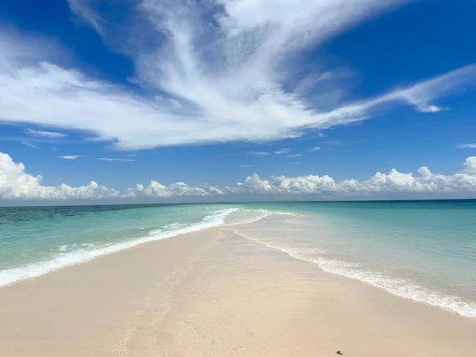 Zanzibar: Prison Island and Nakupenda Sandbank Tour with Snorkeling and BBQ
