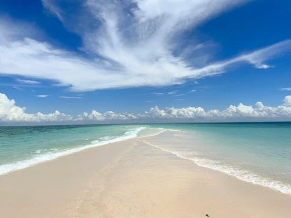 Zanzibar: Prison Island and Nakupenda Sandbank Tour with Snorkeling and BBQ