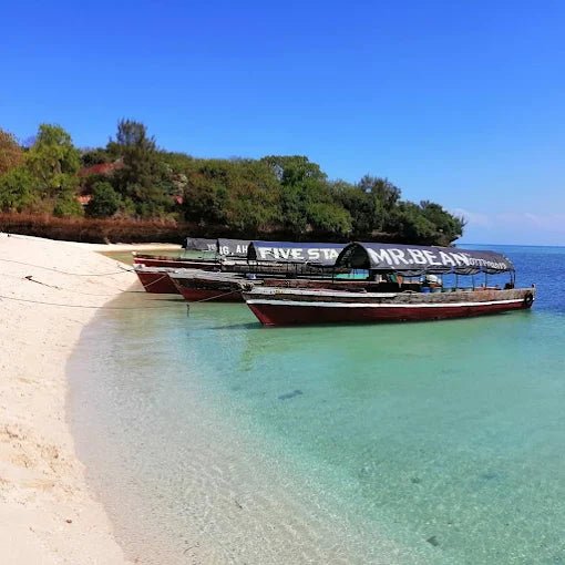 Zanzibar: Prison Island and Nakupenda Sandbank Tour with Snorkeling and BBQ