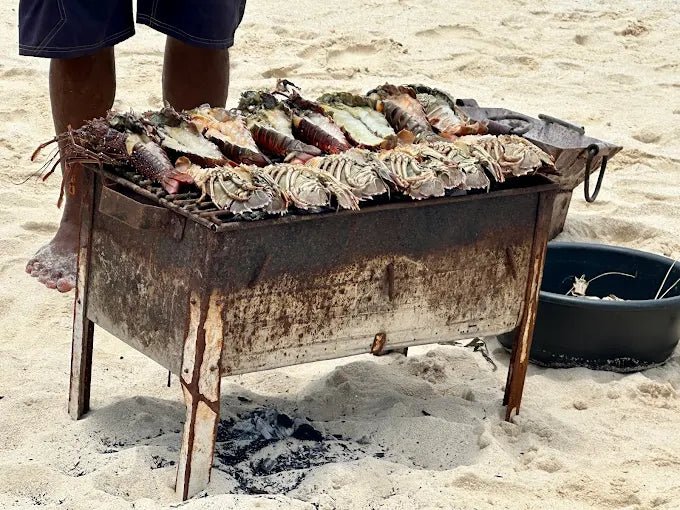 Zanzibar: Prison Island and Nakupenda Tour with Seafood BBQ from Uroa and Kiwengwa