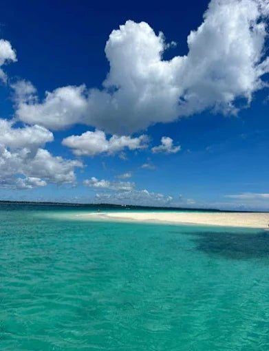 Zanzibar: Prison Island and Nakupenda Tour with Seafood BBQ from Uroa and Kiwengwa