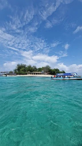 Zanzibar: Prison Island and Nakupenda Tour with Seafood BBQ from Uroa and Kiwengwa
